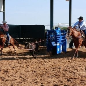 Speed Williams Using A Priefert Automatic Cattle Roping Chute