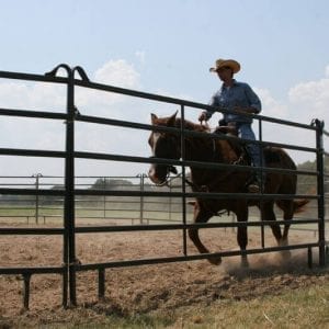 Cowboy Ring A Horse In A Prifert Premier Round Pen For Livestock