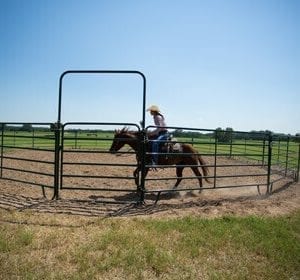 Cowboy On A Horse Economy Round Pens For Horses And Cattle