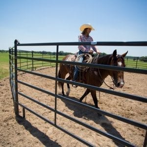 Cowboy On A Horse Premier Round Pens For Horses And Cattle