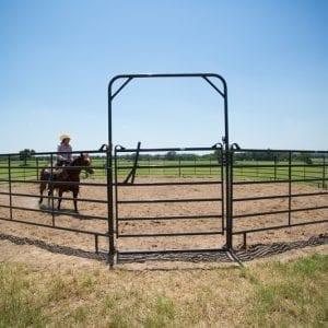 Horse And Cowboy In A Premier Round Pen