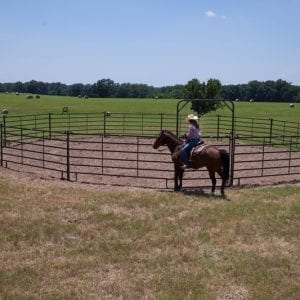 Cowboy On A Horse Premier Round Pens For Horses And Cattle