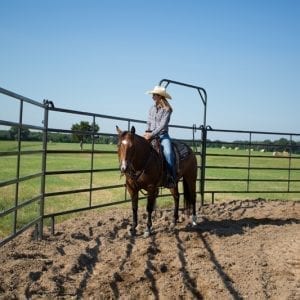 Cowboy Riding A Horse In A Premier Tall Round Pen