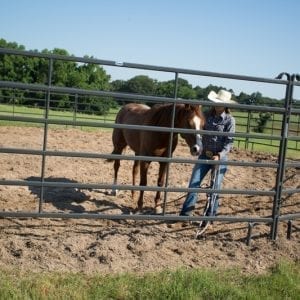 Premier Tall Round Pen For Livestock And Horses