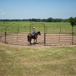 Cowboy On Horse In A Utility Round Pen