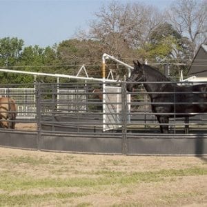 Horse Using A Priefert Panel Walker