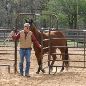 Cowboy And Horse A Round Pen