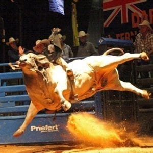 Cowboy Bull Riding Rocksalt Conventionvcenter