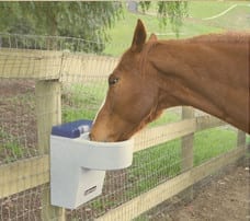 Horse Waterers