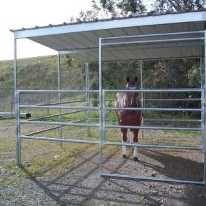 KRE 12x12 Freestanding 4-Rail Shelter With Horse Inside
