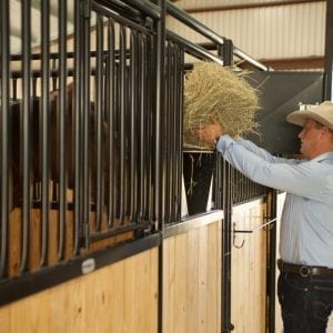 Premier Stall Fronts Horse Stall Feeders