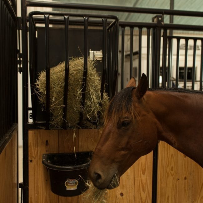 Premier Horse Stall Feeder - Kovac Ranch Equipment