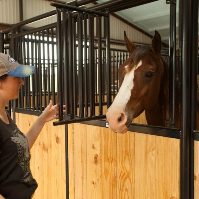 Premier Horse Stall Window Kovac Ranch Equipment