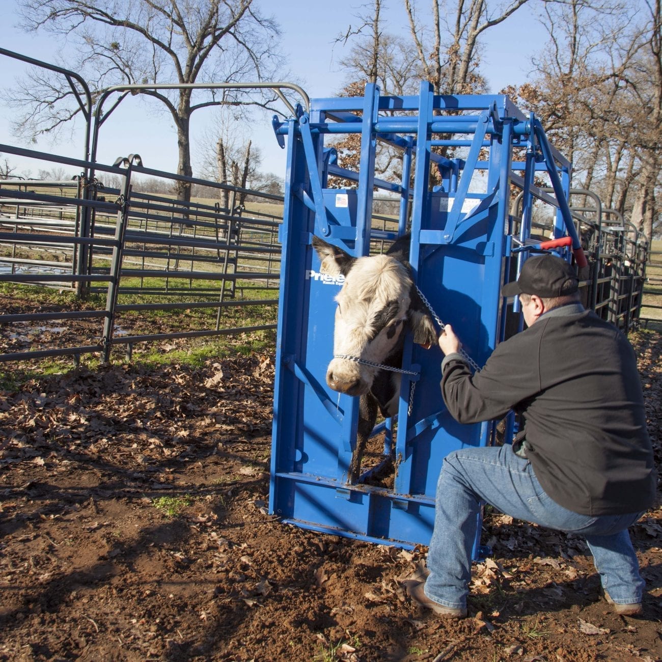 Priefert Headgate Model 64 - Kovac Ranch Equipment