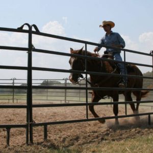 Cowboy Riding A Horse In An Arena With Premier Panels