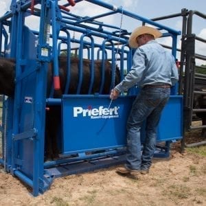 Priefert Cattle Squeeze Chute S0191 In Use