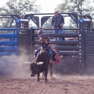 Calf Bull Riding Kids Bucking Chute