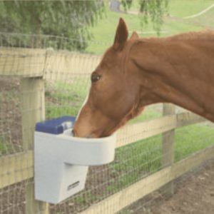 Kovac Ranch Automatic Horse Waterer